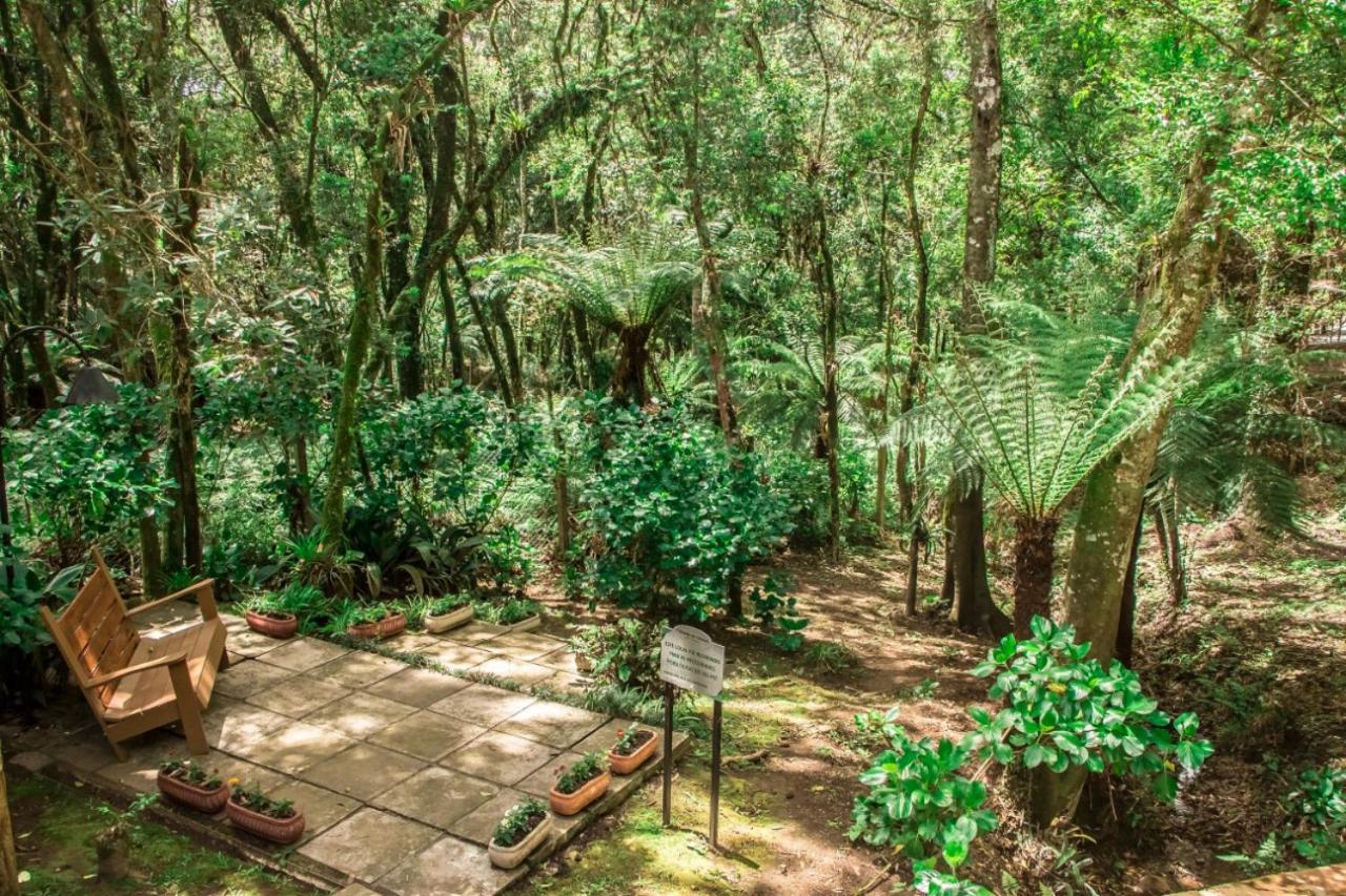 Hotel Pousada Cozumel Sierra 카넬라 외부 사진